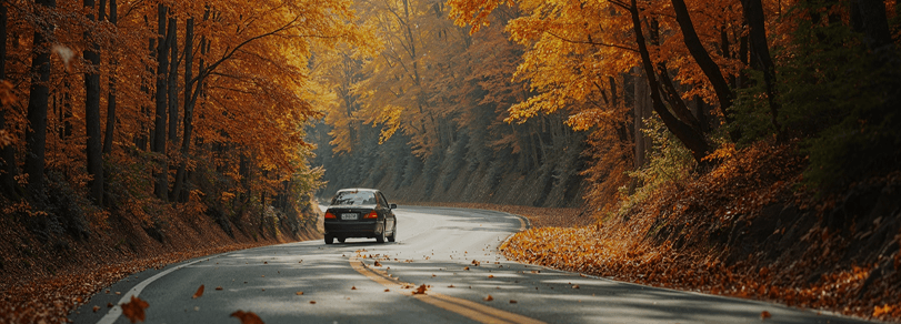 Car driving on a scenic autumn road